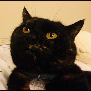 Meet your Posher, Eva